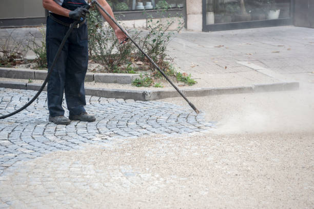 Best Boat and Dock Cleaning  in Chevy Chase View, MD